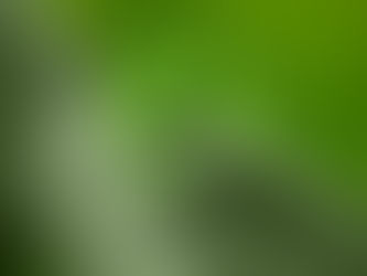 #Resumen Las personas vacunadas contra COVID-19 tienen menos riesgo de muerte, al margen de la causa