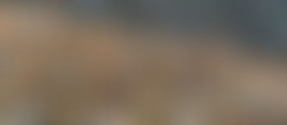 Mundial 2026: fútbol, identidad y lo que hay detrás de ser fan