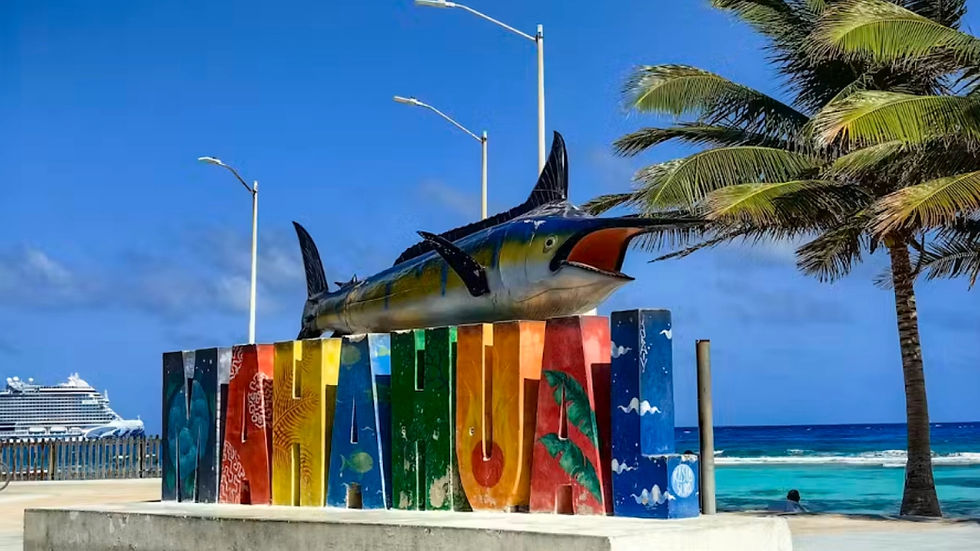 Mahahual: el resort que Semarnat frenó, pero que Royal Caribbean aún no abandona