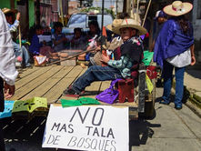 ¿Qué pasó en Cherán?