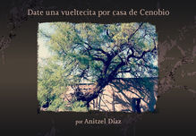 #Relato Date una vueltecita a casa de Cenobio