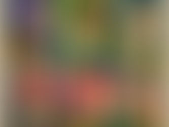 Hongosto: cuando México se echa el bosque a la mesa