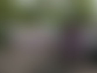 En el mundo, 200 ambientalistas fueron asesinados en 2021; México el país más letal