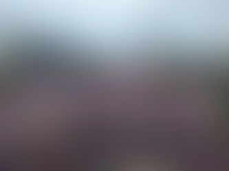 Los 8M que cambiaron México (y el mundo)