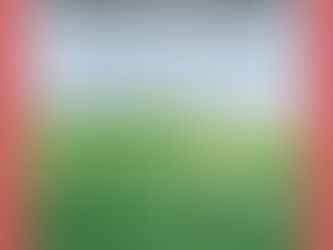 Joy Laville, entre el silencio del color y las palabras de Ibargüengoitia