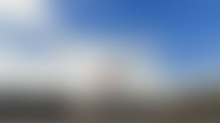 “¿Y ahora quién podrá defendernos?” El vacío político frente al poder