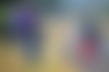 México y EUA, obligados a encontrar soluciones conjuntas para fenómeno migratorio: Monreal