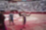 #Resumen Taurinos sienten que restringir corridas de toros en México daña una tradición sagrada