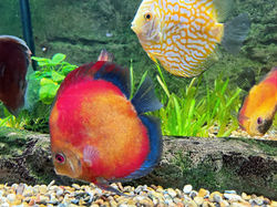 photo sep 14 2025, 3 55 45 pm_edited