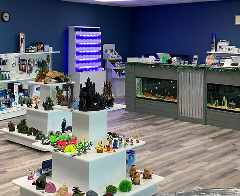 store room .jpg