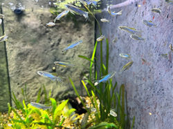 photo sep 14 2025, 3 25 27 pm_edited