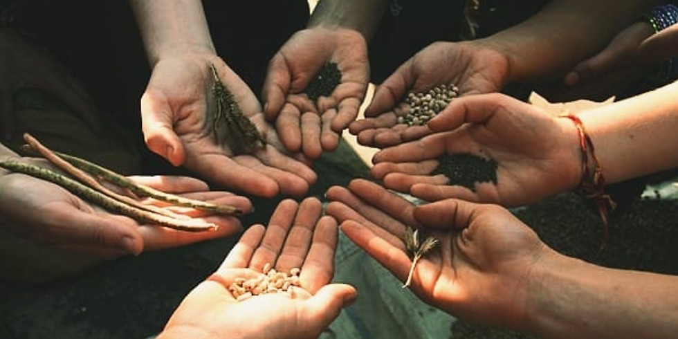 Recreating the Self – Medicine Lodge