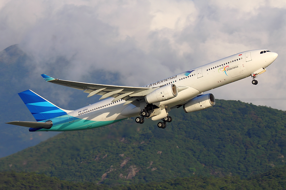 garuda_indonesia_a330-300_pk-gpg_climbing_phase.png