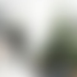 Home for the Holidays