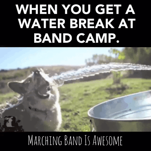 wateratbandcamp.gif