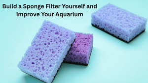 Build a Sponge Filter Yourself and Improve Your Aquarium