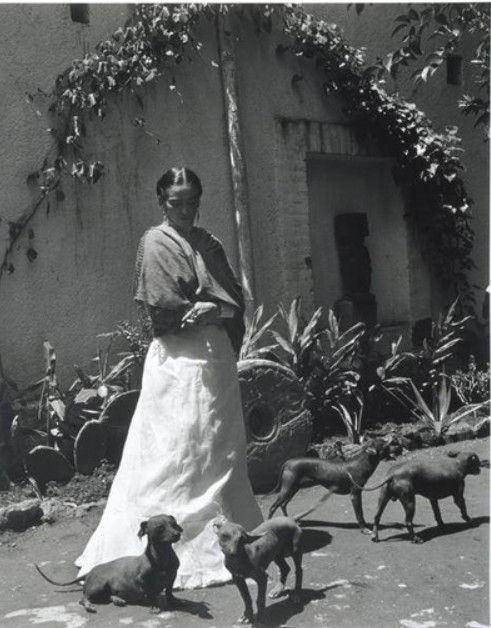 Frida in giardino con i suoi cani