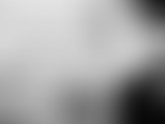 Italo Calvino e il sentiero dei nidi di ragno