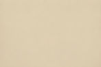 background grain.jpg