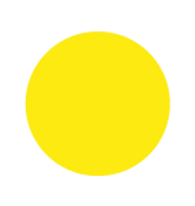 bulina galbena-06.png