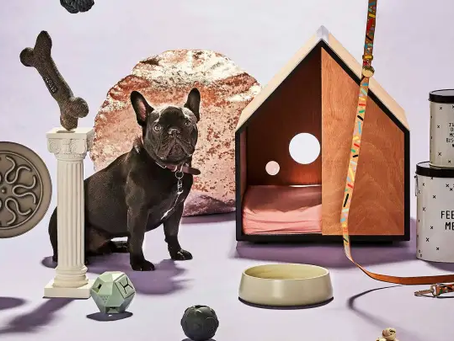 10 pet accessories and toys that your dog will love