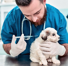VACCINE.jpg