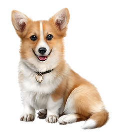 dog 2.png