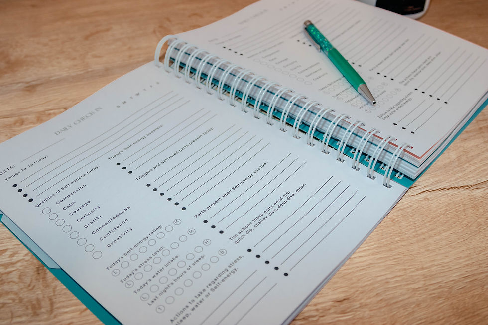 Thumbnail: Download Version Of 'My Daily IFS Planner & Workbook' for printing