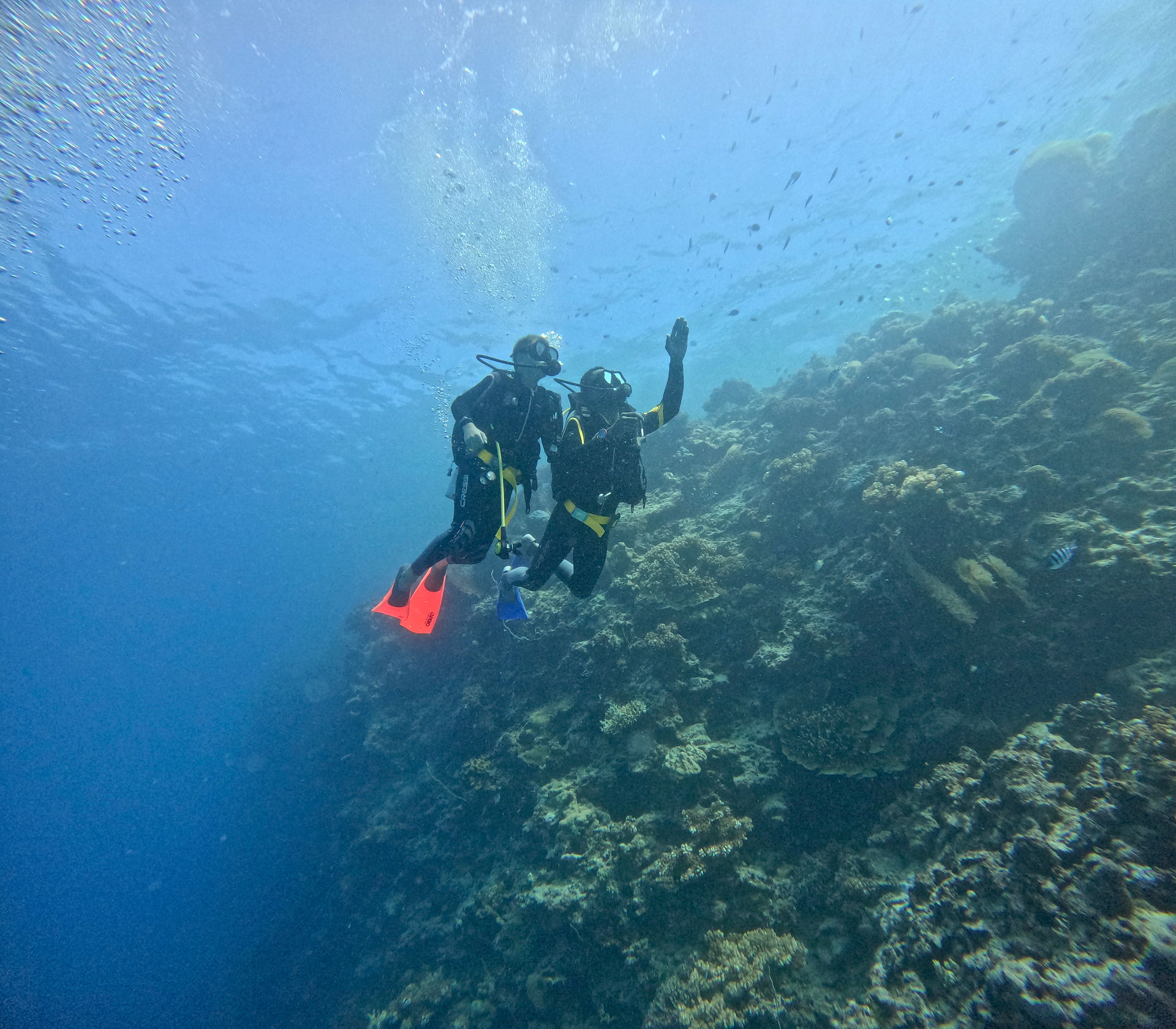 Scuba Diving Fiji