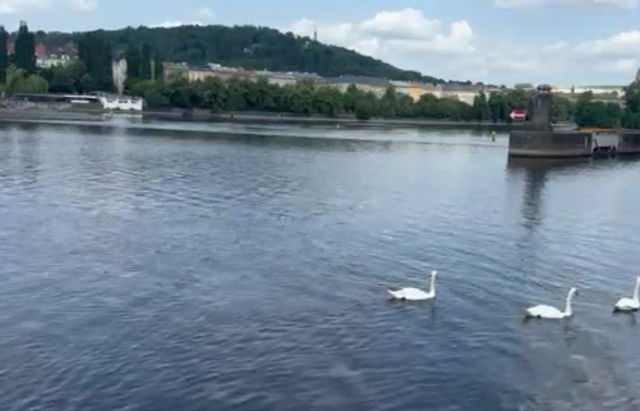 Prague of my Dreams