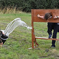 someone in stocks having water thrown at them