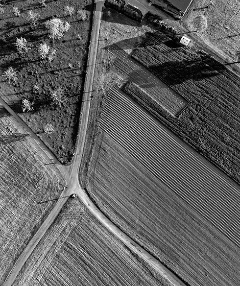 Farm_edited.jpg