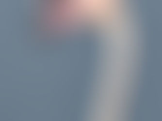 Of Avian Dreams: THE BIRDS OF GREECE