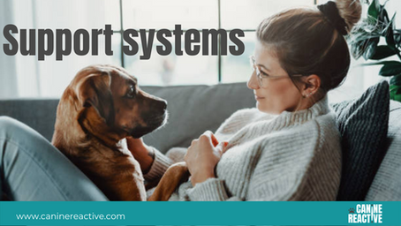 Support systems for your dog