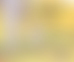 National walk your dog day