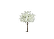 tree .jpeg