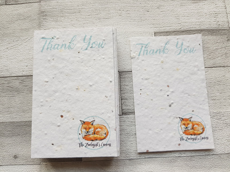 Thumbnail: Seeded Plantable Paper Business Cards