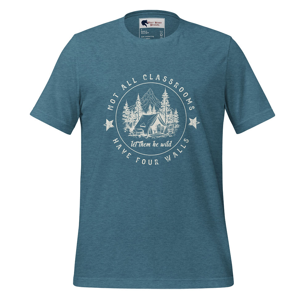 Thumbnail: Not All Classrooms Unisex t-shirt