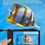 Thumbnail: Water Bag
