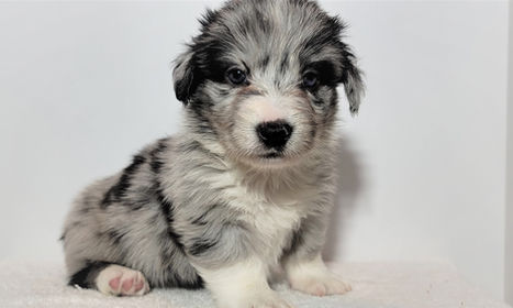 20220115_143808 (2).jpg