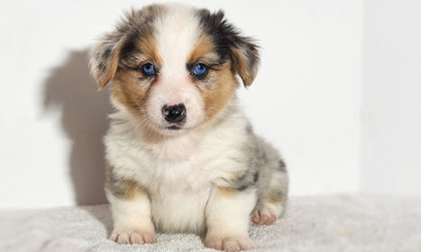 20220907_132244 (2).jpg