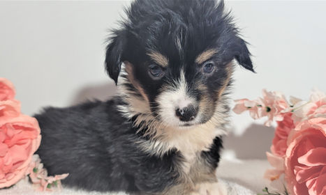 20211104_135715 (2).jpg