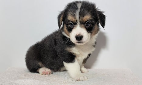 20220115_133646 (2).jpg