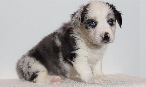 20220414_085728 (2).jpg