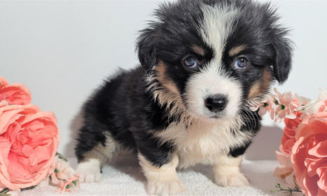 20211104_131531 (2).jpg