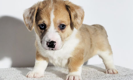 20220207_121710 (2).jpg