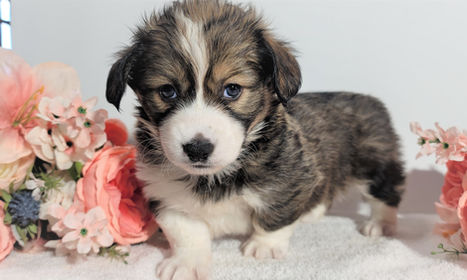 20211104_131059 (2).jpg