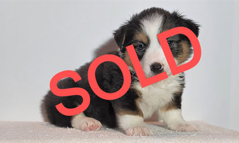 20220414_085449 (2).jpg