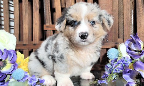 20211014_112623 (2).jpg