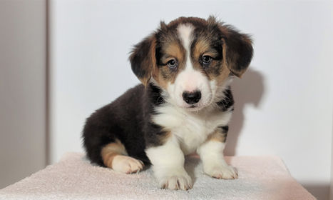 20220115_111601 (2).jpg